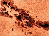 Sunspot