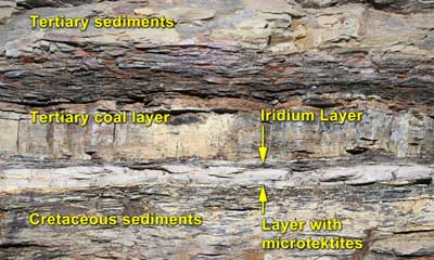 Cretaceous-Tertiary Boundary Layer