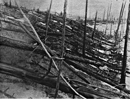 Trees felled by the Tunguska explosion