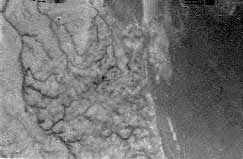 Black and white image from above Titan.