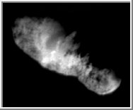 Comet Borrelly