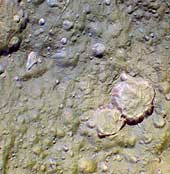 Hi-Res on Tethys - False Color