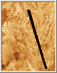 Flow fields of Mylitta Fluctus in Lavinia Planitia